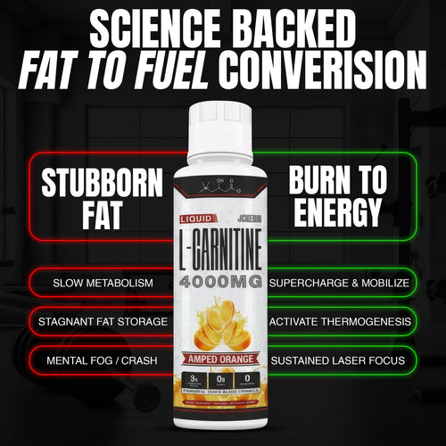 Liquid L-Carnitine 4000MG
