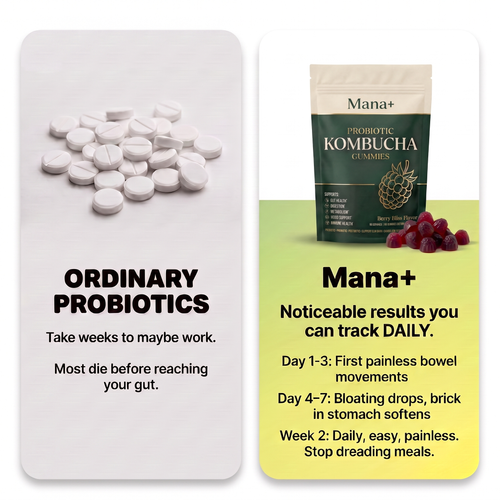 Mana Kombchua Gummies