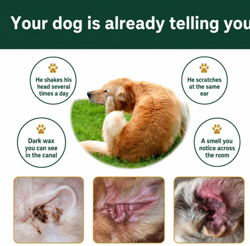Mana+ Ear Cleaner For All Pets
