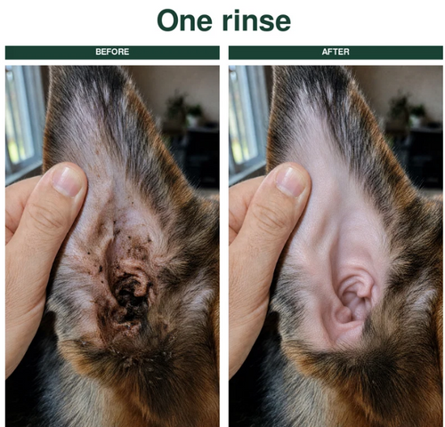 Mana+ Ear Cleaner For All Pets